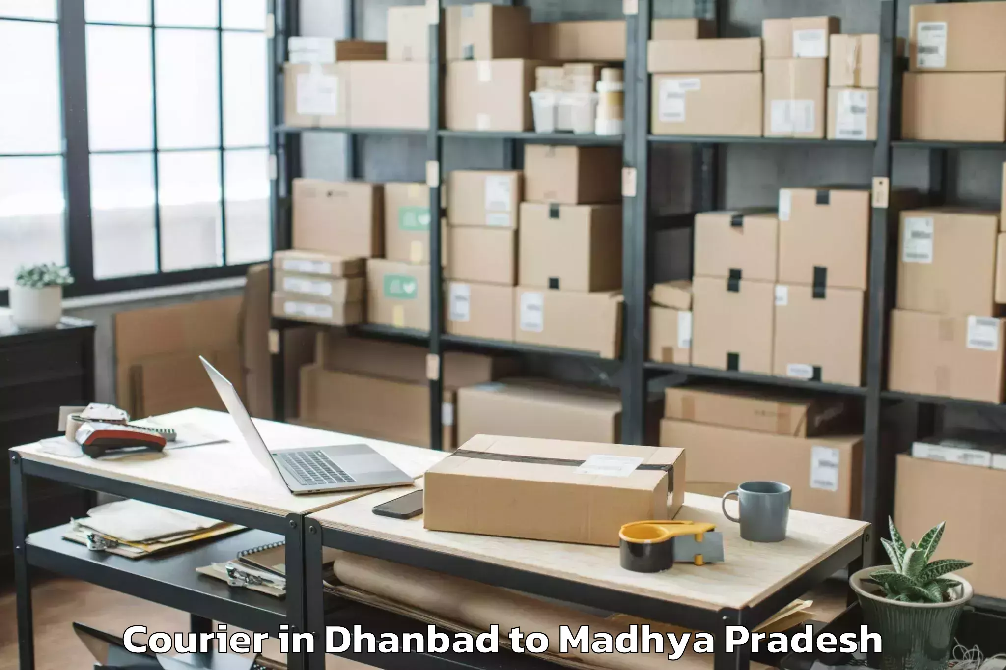 Leading Dhanbad to Jabera Courier Provider